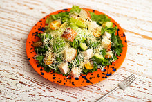 画像をギャラリービューアに読み込む, splash orange plate L(準備中)