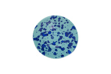 画像をギャラリービューアに読み込む, splash emerald variation bowl L