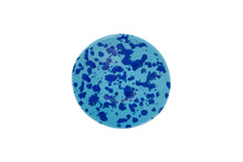 画像をギャラリービューアに読み込む, splash aqua variation bowl L