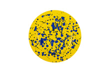 画像をギャラリービューアに読み込む, splash yellow plate L(準備中)