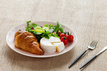 画像をギャラリービューアに読み込む, 安藤寛泰 HIROYASU ANDO traditional sakura plate 25