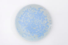 画像をギャラリービューアに読み込む, 安藤寛泰 HIROYASU ANDO traditional sora plate 25