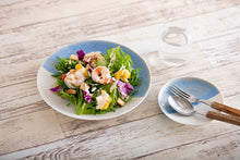 画像をギャラリービューアに読み込む, 安藤寛泰 HIROYASU ANDO waimea gray blue plate 25